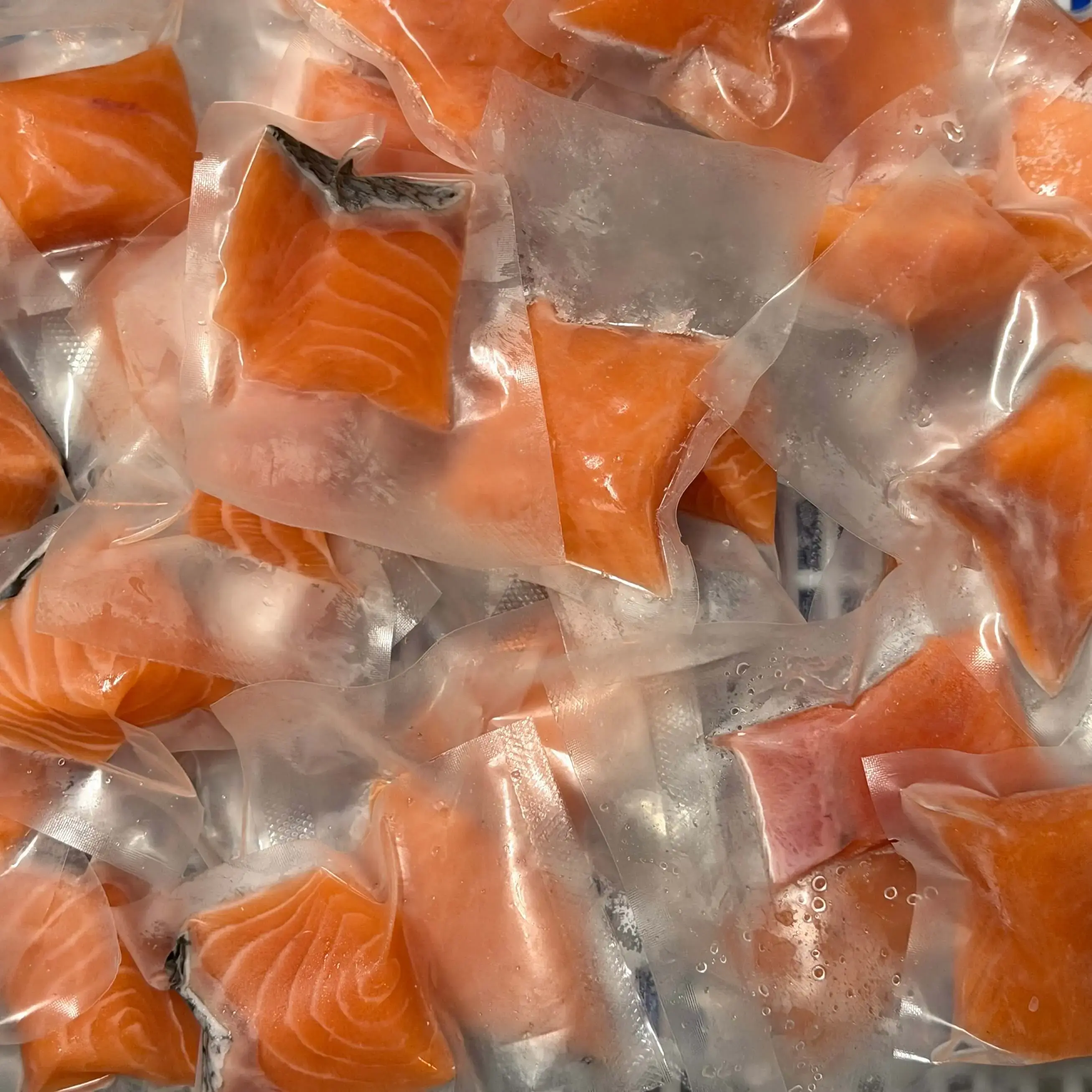 【日月軒海鮮】寶寶鮭魚肉